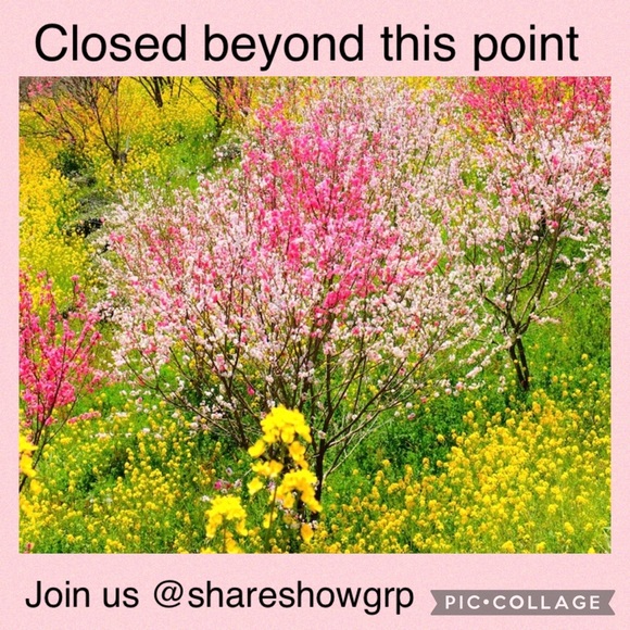 CLOSED DIVIDER - Picture 3 of 6